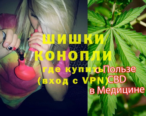 ешки Гусь-Хрустальный