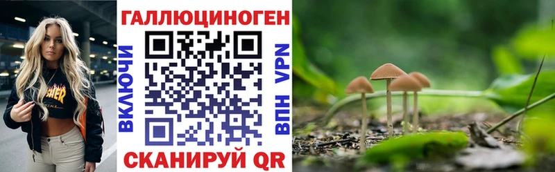 Купить закладки  Кодинск  Псилоцибиновые грибы Psilocybine cubensis 